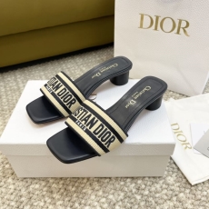 Christian Dior Slippers